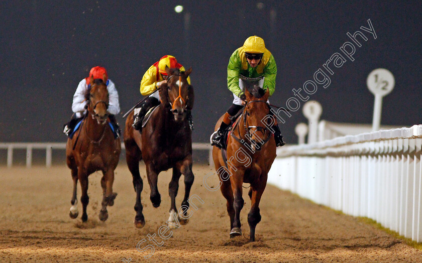 Swissal-0005 
 SWISSAL (Dougie Costello) wins The Bet toteexacta At betfred.com Nursery Chelmsford 1 Feb 2017 - Pic Steven Cargill / Racingfotos.com