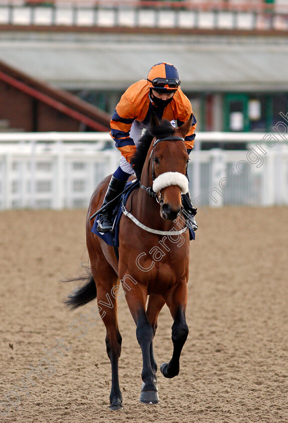 Follow-Your-Heart-0001 
 FOLLOW YOUR HEART (Kevin Stott) winner of The Betway Novice Median Auction Stakes
Wolverhampton 12 Mar 2021 - Pic Steven Cargill / Racingfotos.com