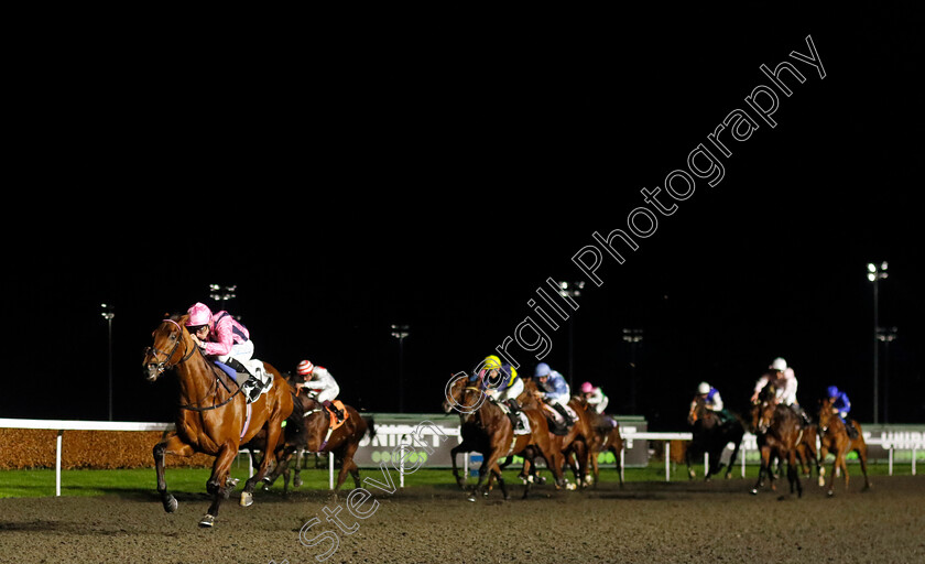 Bowmark-0005 
 BOWMARK (Kieran Shoemark) wins The Unibet EBF Novice Stakes Div2
Kempton 4 Dec 2024 - pic Steven Cargill / Racingfotos.com