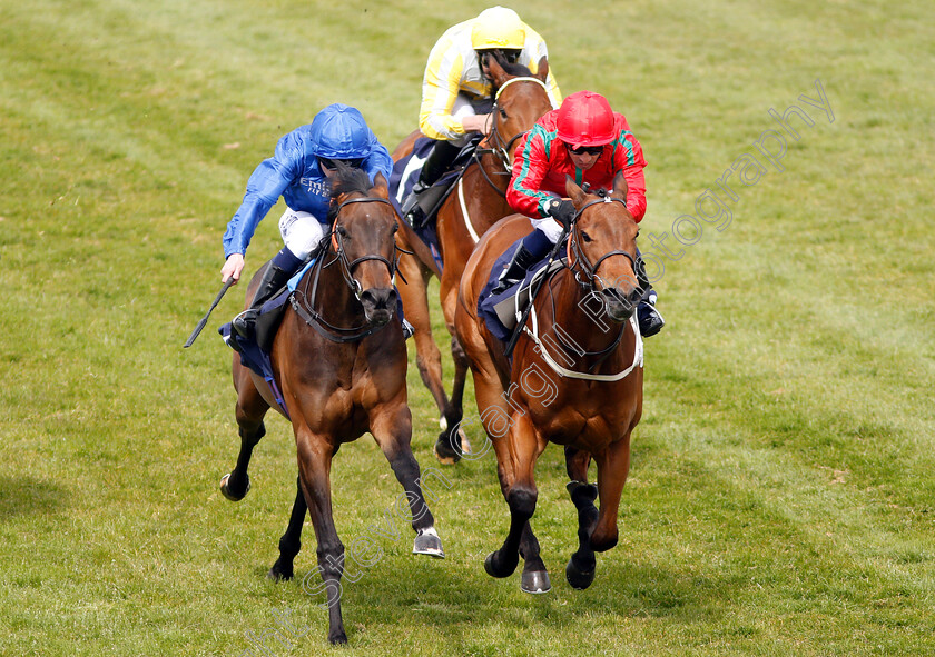 Companion-0007 
 COMPANION (right, Silvestre De Sousa) beats QUIET PLACE (left) in The EBF Stallions Maiden Fillies Stakes
Yarmouth 23 Apr 2019 - Pic Steven Cargill / Racingfotos.com