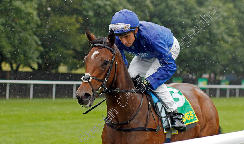 Star-Of-Mystery-0001 
 STAR OF MYSTERY (William Buick)
Newmarket 14 Jul 2023 - Pic Steven Cargill / Racingfotos.com