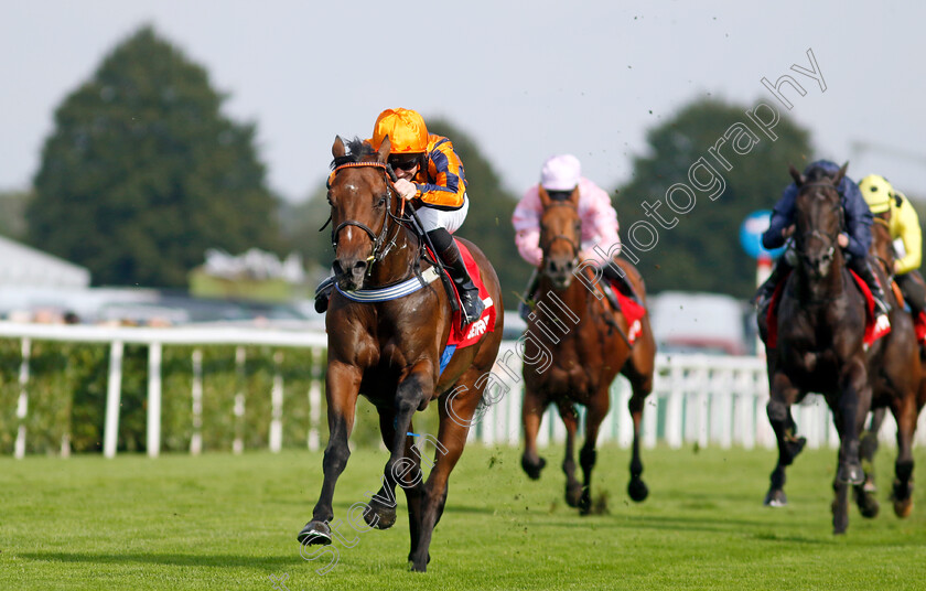 Dancing-Gemini-0006 
 DANCING GEMINI (Lewis Edmunds) wins The Betfred Flying Scotsman Stakes
Doncaster 15 Sep 2023 - Pic Steven Cargill / Racingfotos.com