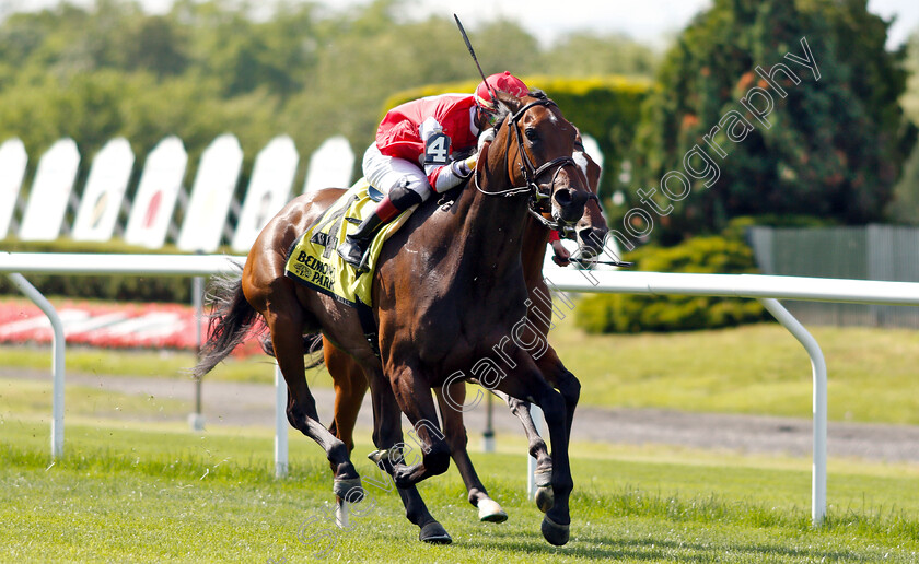 Cambier-Parc-0004 
 CAMBIER PARC (Jose Ortiz) wins The Wonder Again Stakes
Belmont Park USA, 6 Jun 2019 - Pic Steven Cargill / Racingfotos.com