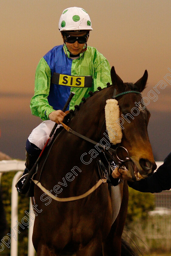 Time-To-Reason-0002 
 TIME TO REASON (Pierre-Louis Jamin) before winning The Bet toteplacepot At totesport.com Apprentice Handicap
Chelmsford 21 Feb 2019 - Pic Steven Cargill / Racingfotos.com