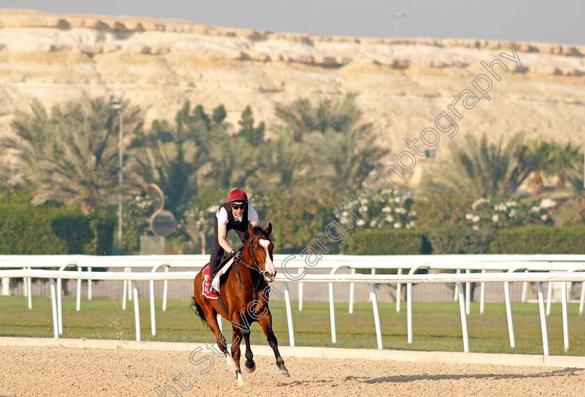 Point-Lonsdale-0008 
 POINT LONSDALE training for the Bahrain International Trophy
Kingdom of Bahrain 13 Nov 2024 - Pic Steven Cargill / Racingfotos.com