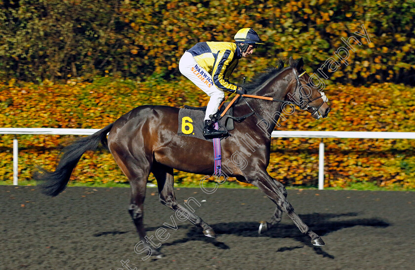 I m-Too-Tired-0001 
 I'M TOO TIRED (Trevor Whelan)
Kempton 16 Nov 2022 - Pic Steven Cargill / Racingfotos.com