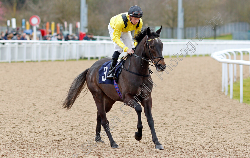 Aryaah-0001 
 ARYAAH (Aled Beech)
Wolverhampton 12 Mar 2022 - Pic Steven Cargill / Racingfotos.com