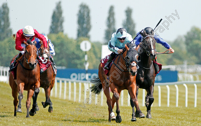 Never-Back-Down-0002 
 NEVER BACK DOWN (centre, Silvestre De Sousa) beats ALL OUT (left) and SHABAABY (right) in The Shalaa Carnarvon Stakes Newbury 19 May 2018 - PIc Steven Cargill / Racingfotos.com