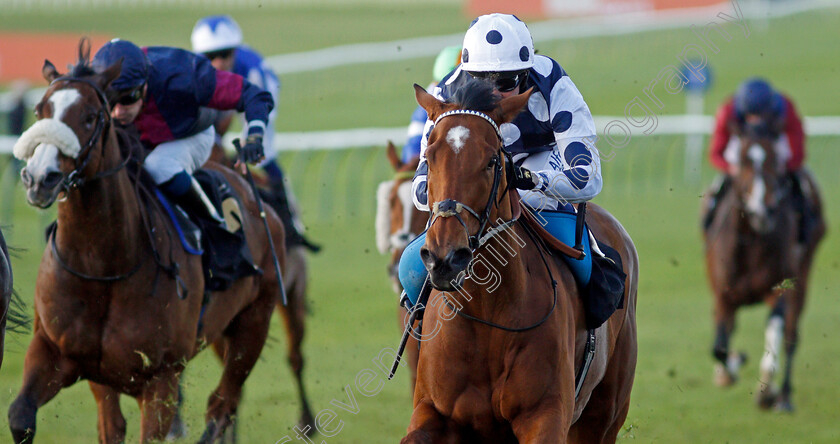 Rebel-Territory-0006 
 REBEL TERRITORY (Jim Crowley) wins The 888sport What's Your Thinking Handicap
Newmarket 30 Oct 2021 - Pic Steven Cargill / Racingfotos.com