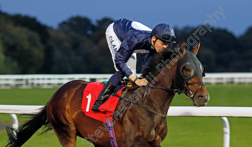 South-Pole-0002 
 SOUTH POLE (Billy Loughnane) 
Kempton 28 Aug 2024 - Pic Steven Cargill / Racingfotos.com