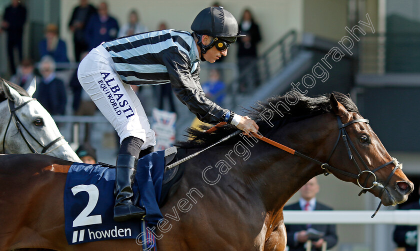 Chindit-0002 
 CHINDIT (Pat Dobbs) wins The Howden Bloodstock Paradise Stakes
Ascot 3 May 2023 - Pic Steven Cargill / Racingfotos.com