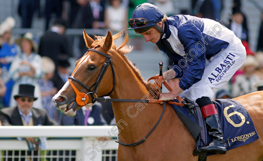 Katey-Kontent 
 KATEY KONTENT (Adam Kirby)
Royal Ascot 15 Jun 2022 - Pic Steven Cargill / Racingfotos.com