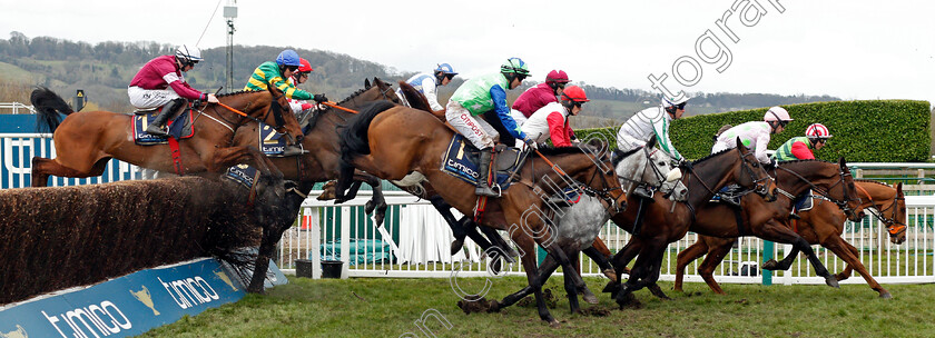 American-0001 
 DEFINITLY RED leads DJAKADAM, OUR DUKE, SAPHIR DU RHEU, AMERICAN (No 1, Noel Fehily) and OUTLANDER (left) during The Timico Cheltenham Gold Cup Cheltenham 16 Mar 2018 - Pic Steven Cargill / Racingfotos.com