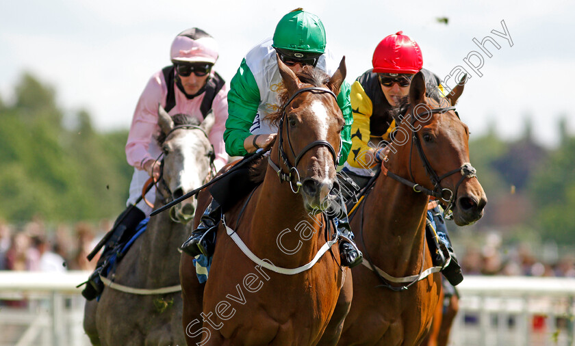 Tareekh-0007 
 TAREEKH (centre, Jack Mitchell) wins The SKF Rous Selling Stakes
York 11 Jun 2021 - Pic Steven Cargill / Racingfotos.com