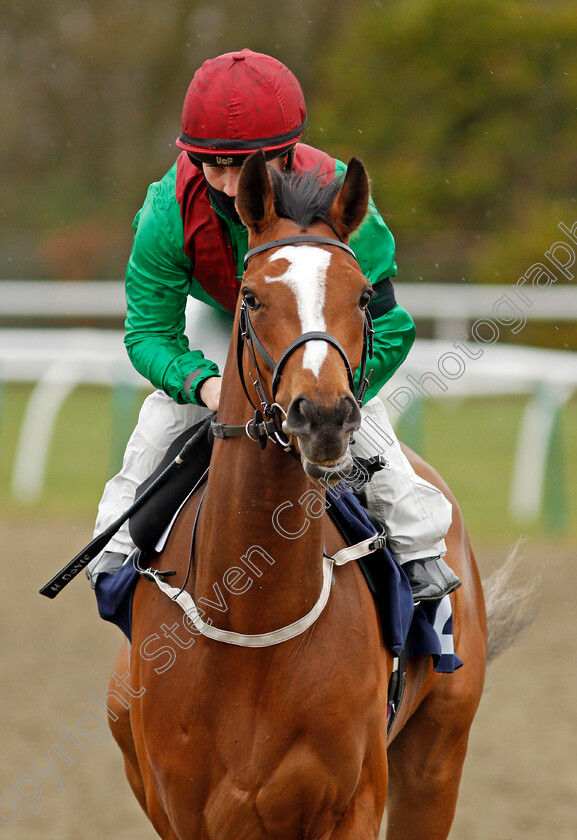 Invite-0002 
 INVITE (Hollie Doyle)
Lingfield 26 Mar 2021 - Pic Steven Cargill / Racingfotos.com