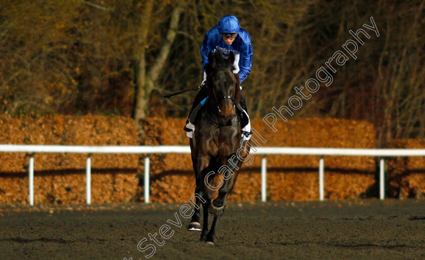 Loxley-0001 
 LOXLEY (James Doyle)
Kempton 4 Dec 2019 - Pic Steven Cargill / Racingfotos.com