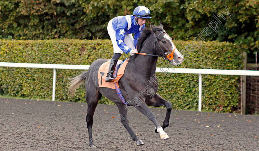 Punctuate-0001 
 PUNCTUATE (Rossa Ryan)
Kempton 9 Oct 2019 - Pic Steven Cargill / Racingfotos.com