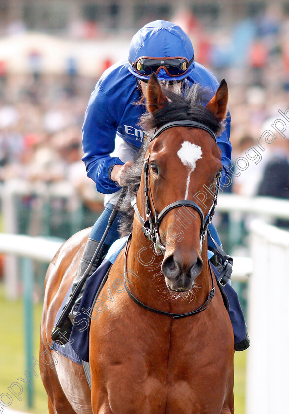 Royal-Crusade-0002 
 ROYAL CRUSADE (William Buick)
Doncaster 14 Sep 2019 - Pic Steven Cargill / Racingfotos.com