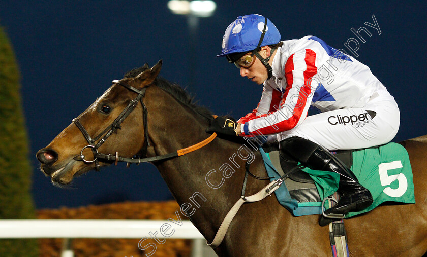 Dynakite-0005 
 DYNAKITE (Kieran Shoemark) wins The Join Racing TV Now Handicap Div1
Kempton 16 Feb 2022 - Pic Steven Cargill / Racingfotos.com