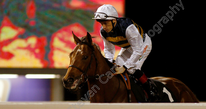 Achaeus-0001 
 ACHAEUS (Shane Kelly) 
Chelmsford 29 Nov 2018 - Pic Steven Cargill / Racingfotos.com