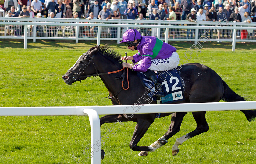 Ville-De-Grace-0006 
 VILLE DE GRACE (Ryan Moore) wins The EBF Stallions John Musker Fillies Stakes
Yarmouth 15 Sep 2021 - Pic Steven Cargill / Racingfotos.com