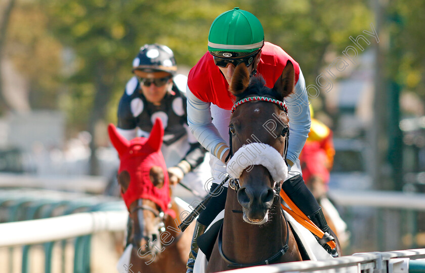 Laguna-Beach-0001 
 LAGUNA BEACH (L Delozier)
Deauville 6 Aug 2022 - Pic Steven Cargill / Racingfotos.com