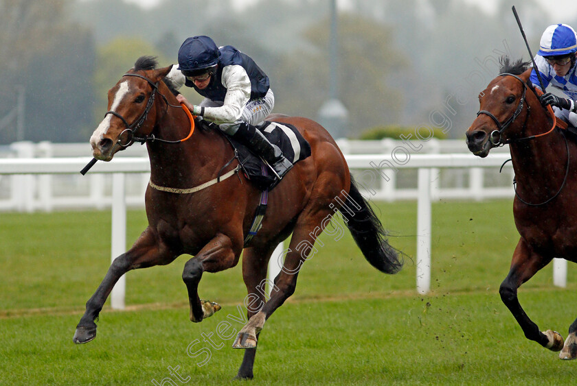 Rohaan-0005 
 ROHAAN (Ryan Moore) wins The Qipco British Champions Series Pavilion Stakes
Ascot 28 Apr 2021 - Pic Steven Cargill / Racingfotos.com