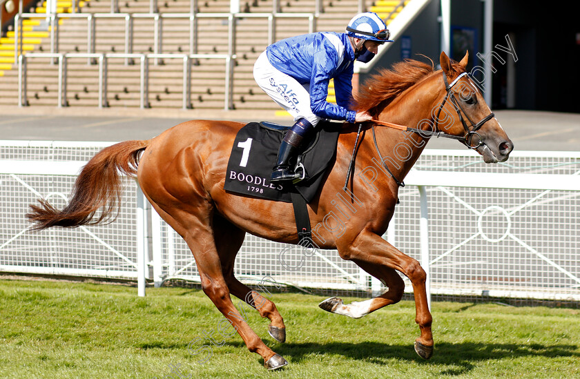 Alfaadhel-0002 
 ALFAADHEL (Jim Crowley) winner of The Boodles Maiden Stakes
Chester 5 May 2021 - Pic Steven Cargill / Racingfotos.com