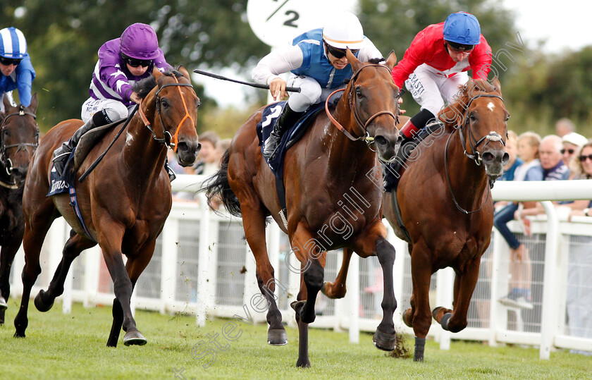 Plumatic-0006 
 PLUMATIC (centre, Maxime Guyon) beats OH THIS IS US (left) and ZONDERLAND (right) in The Tattersalls Sovereign Stakes
Salisbury 16 Aug 2018 - Pic Steven Cargill / Racingfotos.com