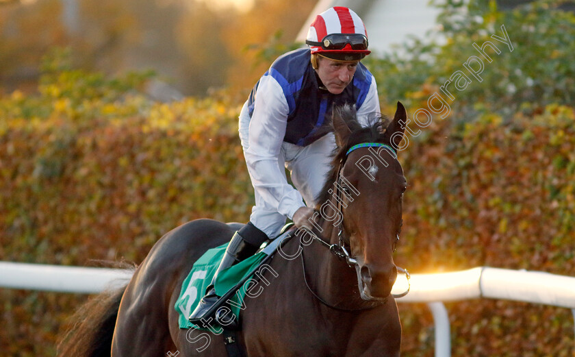 Louis-Barthas-0001 
 LOUIS BARTHAS (John Egan)
Kempton 15 Nov 2023 - Pic Steven Cargill / Racingfotos.com