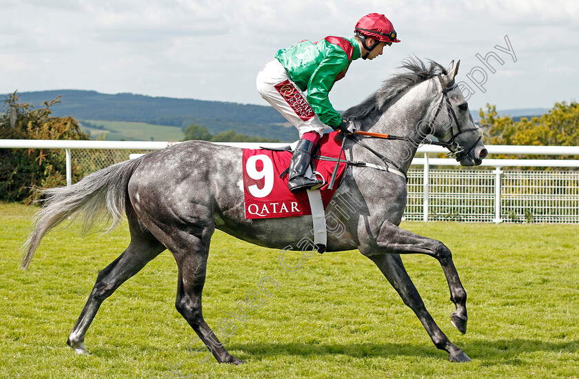 Technician-0001 
 TECHNICIAN (Oisin Murphy)
Goodwood 1 Aug 2019 - Pic Steven Cargill / Racingfotos.com