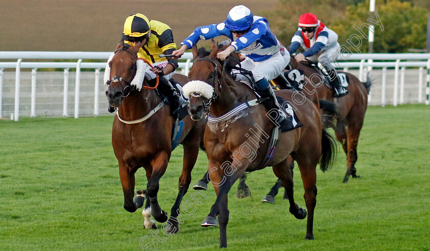 The-Daley-Express-0002 
 THE DALEY EXPRESS (left, Frederick Larson) beats THE DEFIANT (right) in The Chichester Observer Handicap
Goodwood 26 Aug 2022 - Pic Steven Cargill / Racingfotos.com