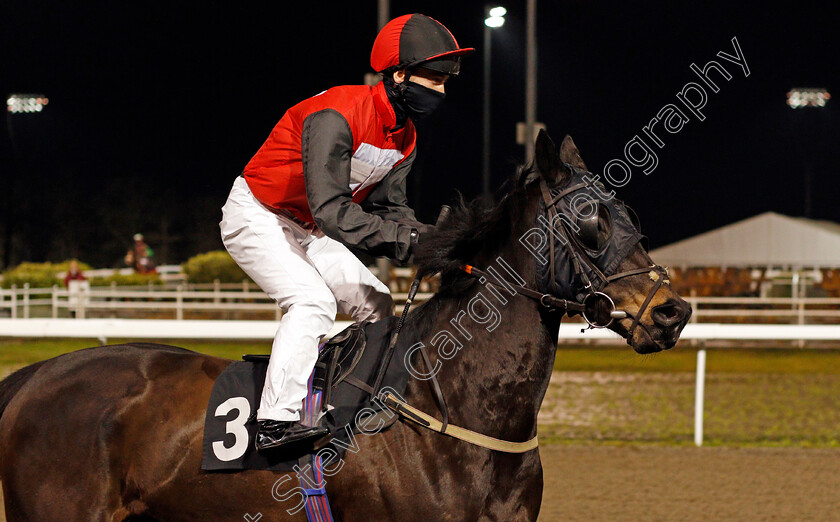 Hit-The-Beat-0001 
 HIT THE BEAT (George Rooke)
Chelmsford 14 Jan 2021 - Pic Steven Cargill / Racingfotos.com