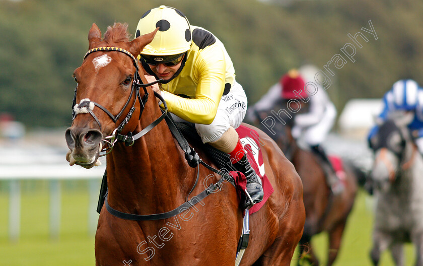 Ostilio-0006 
 OSTILIO (Andrea Atzeni) wins The Betfair EBF Conditions Stakes
Haydock 3 Sep 2020 - Pic Steven Cargill / Racingfotos.com