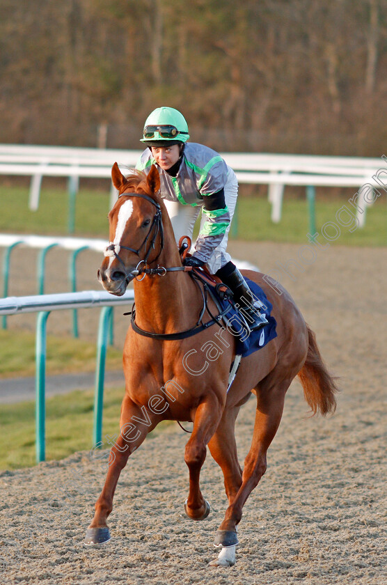 Confounding-0001 
 CONFOUNDING (Hayley Turner)
Lingfield 8 Feb 2020 - Pic Steven Cargill / Racingfotos.com