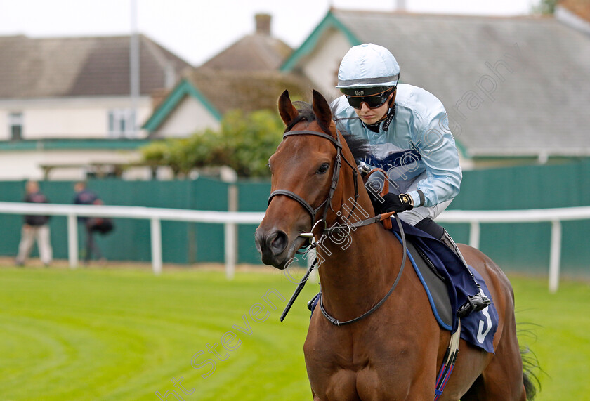 Manos-Arriba-0001 
 MANOS ARRIBA (Saffie Osborne)
Yarmouth 21 Sep 2023 - Pic Steven Cargill / Racingfotos.com