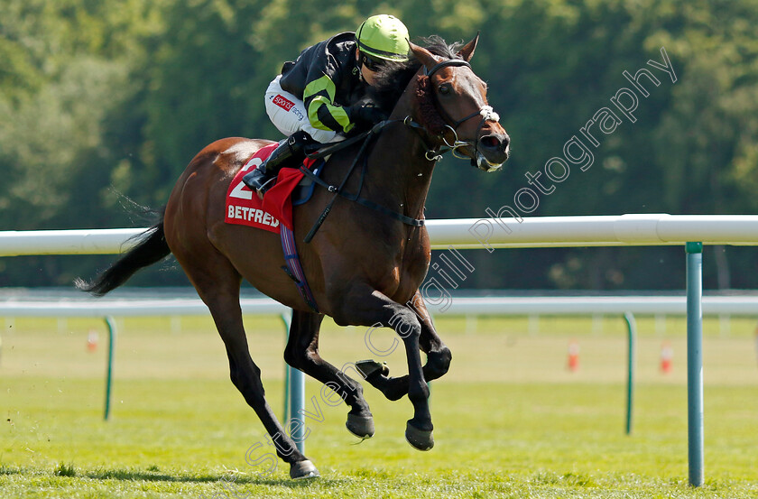 Solent-Gateway-0004 
 SOLENT GATEWAY (Hollie Doyle) wins The Betfred TV Hell Nook Handicap
Haydock 27 May 2023 - pic Steven Cargill / Racingfotos.com