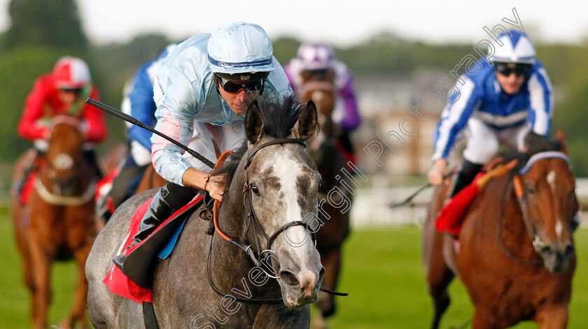 Indemnify-0003 
 INDEMNIFY (Ray Dawson) wins The Racehorse Lotto Whitsun Cup Handicap
Sandown 25 May 2023 - Pic Steven Cargill / Racingfotos.com