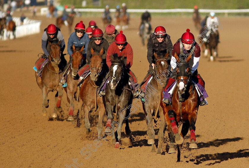 Broome,-Bolshoi-Ballet-and-Auguste-Rodin-0005 
 BROOME leads BOLSHOI BALLET and AUGUSTE RODIN and the rest of the Aidan O'Brien string training for the Breeders' Cup 
Santa Anita 2 Nov 2023 - Pic Steven Cargill / Racingfotos.com