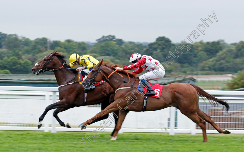 Tennessee-Gold-0001 
 TENNESSEE GOLD (right, Callum Shepherd) beats SMART HERO (left) in The Boodles Handicap
Sandown 8 Aug 2024 - Pic Steven Cargill / Racingfotos.com