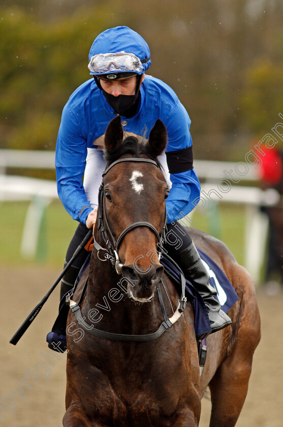 New-Heights-0002 
 NEW HEIGHTS (George Downing)
Lingfield 26 Mar 2021 - Pic Steven Cargill / Racingfotos.com