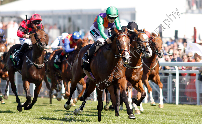 Don-Armado-0004 
 DON ARMADO (Harry Bentley) wins The Unibet Nursery
Goodwood 3 Aug 2018 - Pic Steven Cargill / Racingfotos.com