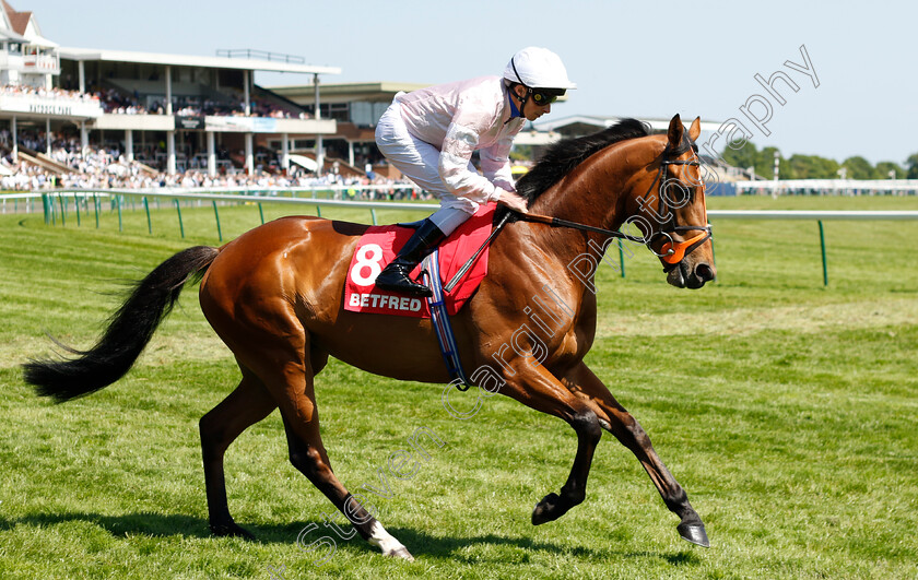 Royal-Cape-0001 
 ROYAL CAPE (William Buick)
Haydock 27 May 2023 - Pic Steven Cargill / Racingfotos.com