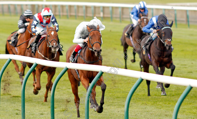 King-Leonidas-0003 
 KING LEONIDAS (Frankie Dettori) wins The Coates & Seely Blanc De Blancs Novice Stakes Div1
Newmarket 23 Oct 2019 - Pic Steven Cargill / Racingfotos.com