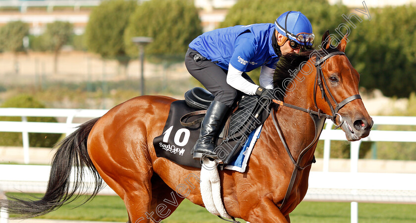 Sovereign-Prince-0001 
 SOVEREIGN PRINCE training for The Saudi Derby
King Abdulaziz Racetrack, Riyadh, Saudi Arabia 24 Feb 2022 - Pic Steven Cargill / Racingfotos.com