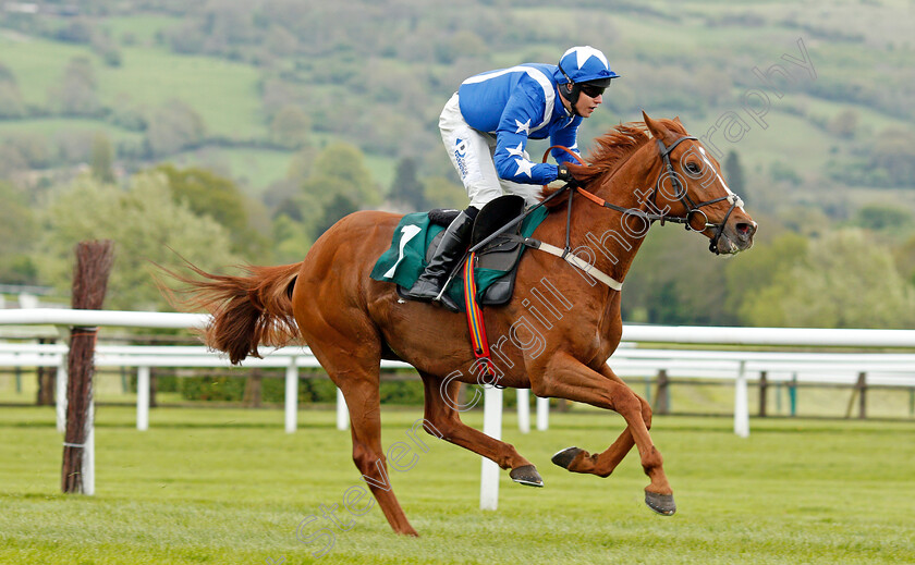 Monsieur-Gibraltar-0007 
 MONSIEUR GIBRALTAR (Lorcan Williams) wins The Brian Babbage Memorial Open Hunters Chase Cheltenham 4 May 2018 - Pic Steven Cargill / Racingfotos.com