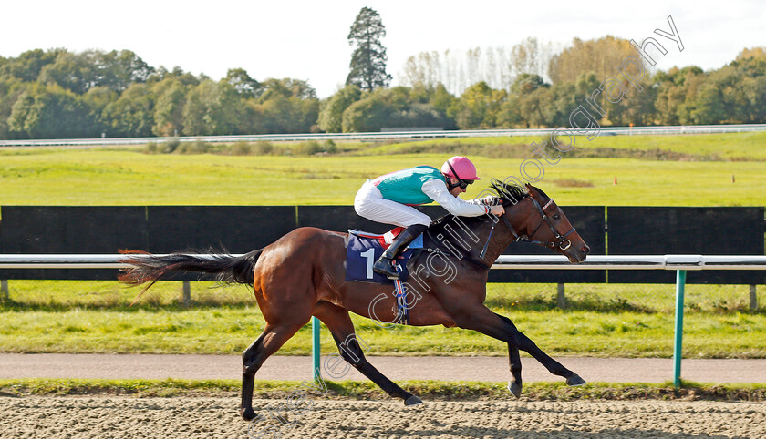 Purser-0007 
 PURSER (Robert Havlin) wins The Injured Jockeys Fund EBF Novice Stakes Lingfield 5 Oct 2017 - Pic Steven Cargill / Racingfotos.com