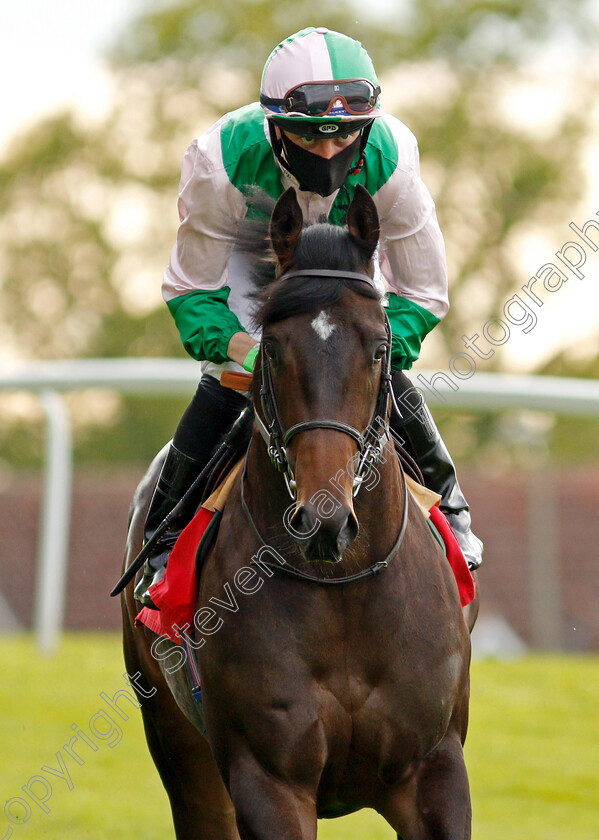 Little-Earl-0002 
 LITTLE EARL (Ray Dawson)
Sandown 27 May 2021 - Pic Steven Cargill / Racingfotos.com