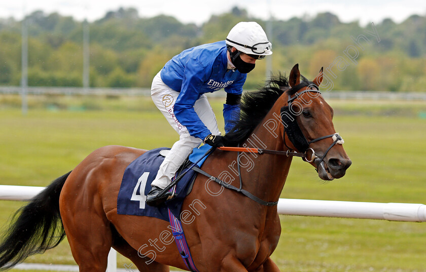 Secret-Moment-0001 
 SECRET MOMENT (Oisin Murphy)
Wolverhampton 24 May 2021 - Pic Steven Cargill / Racingfotos.com