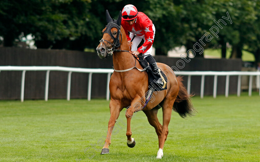 Alzahir-0001 
 ALZAHIR (Daniel Tudhope)
Newmarket 10 Aug 2024 - Pic Steven Cargill / Racingfotos.com